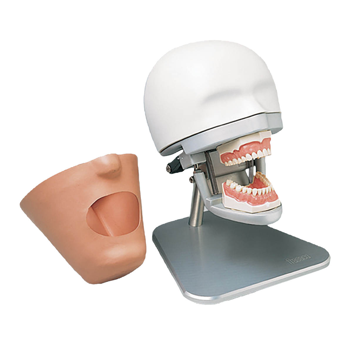 Frasaco Dental Exercise Unit Complete With Phantom Head P 1155743 frasaco-dental-exercise-unit-complete-with-phantom-head-p-1155743