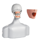 Dental Exercise Unit Complete with Phantom Head P-