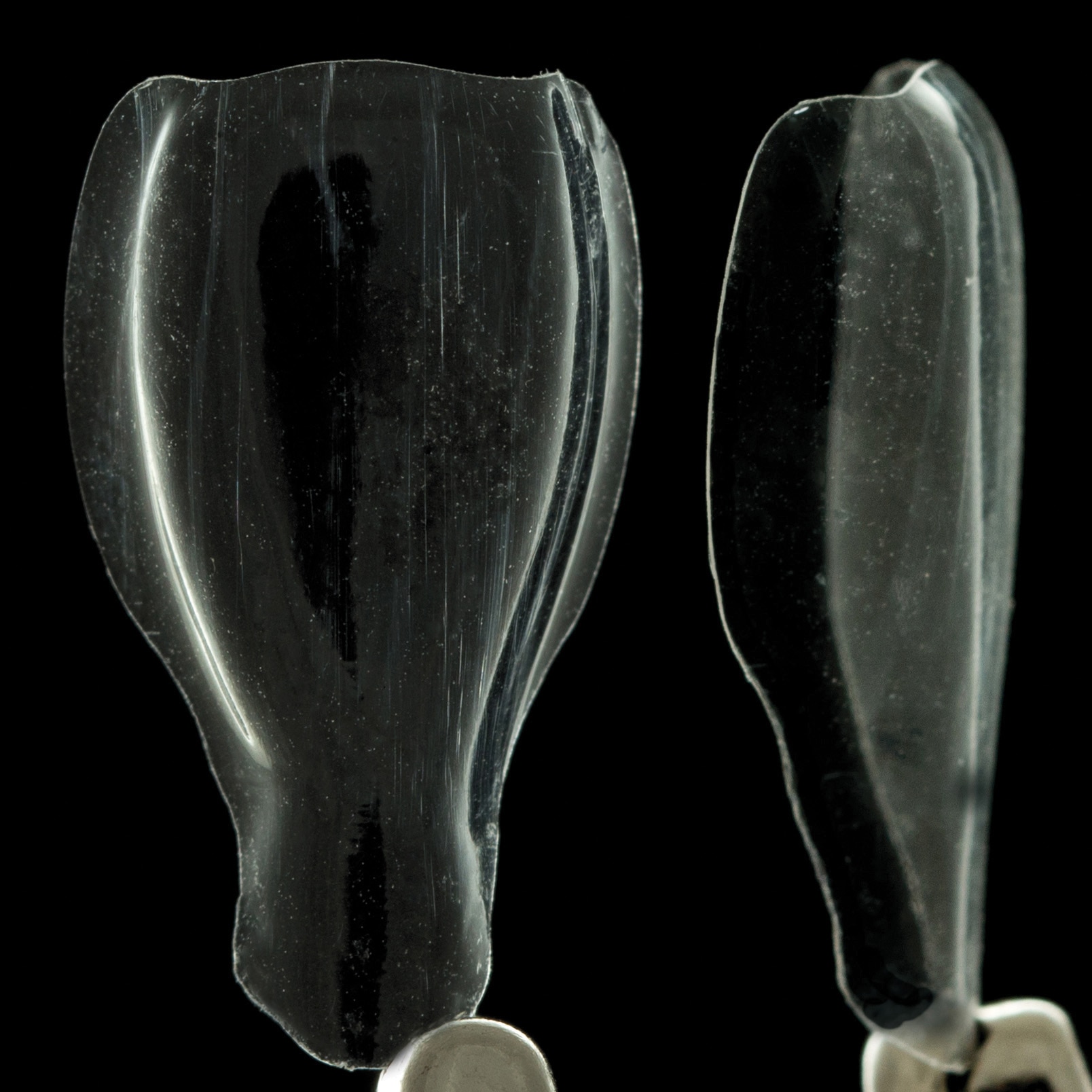 Clark Matrix Anterior Matrix Incisor Mesial 50pk