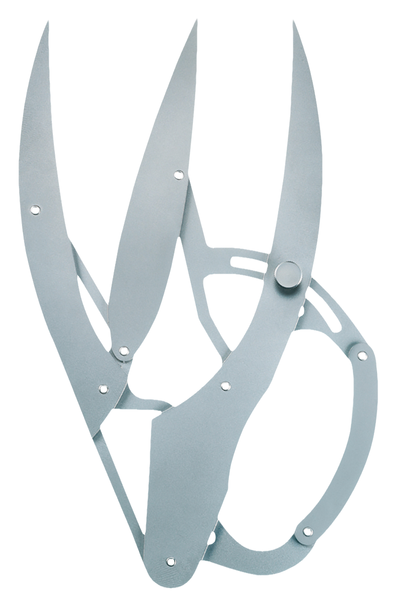 Golden Section Divider Set