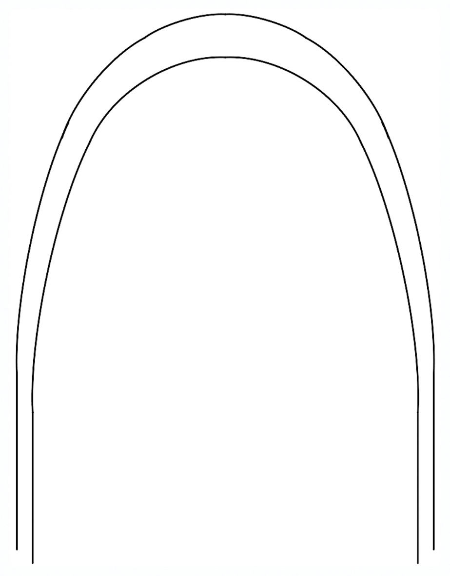 Archwire Stainless Steel Bright Oval Arch Form III Shape .014 Lower 50pk
