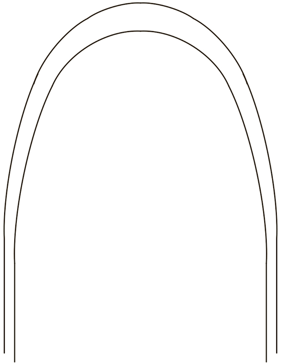Archwire Bio-Kinetix Oval Arch Form III Shape 014 Lower 10pk