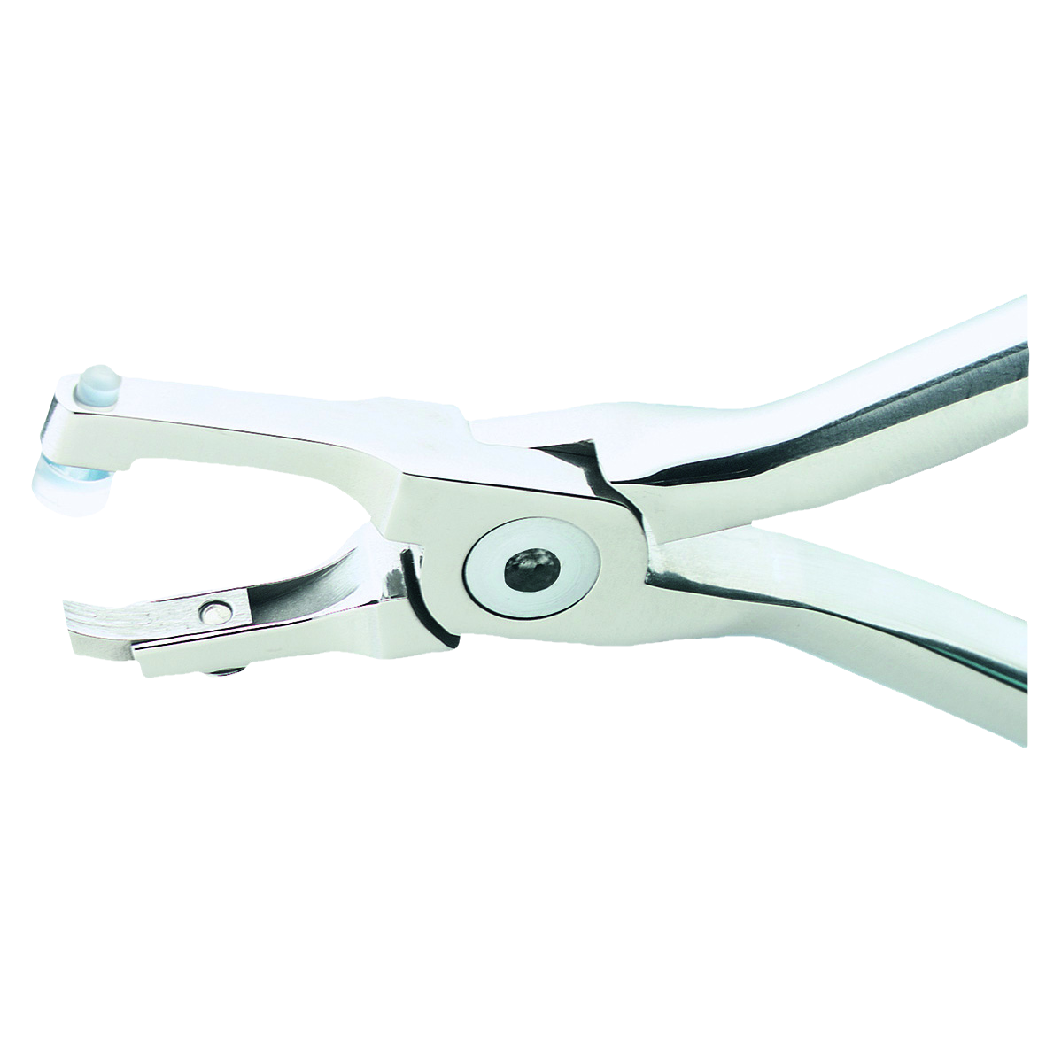Endura Plus Bracket Remover