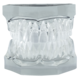 1164995_UK_Front_01_s_-Clear-Articulated-Typodont-with-Removable-Teeth.png