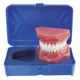 1164997_UK_Front_01_s_-Pink-Epoxy-Typodont-Protective-Case-Only.png