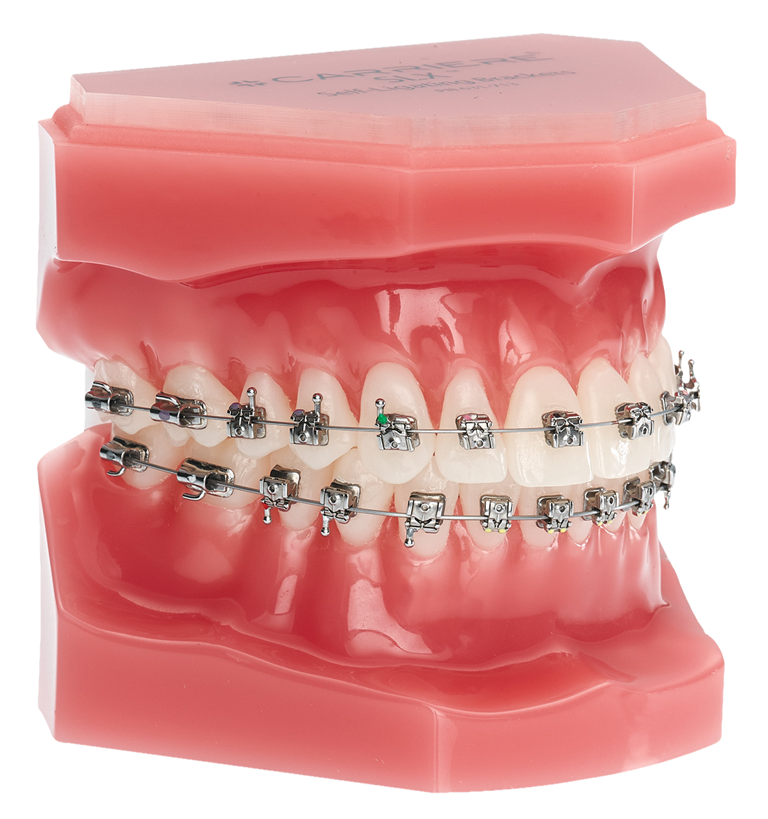 Typodont-Di-MIM 7x7 Brackets