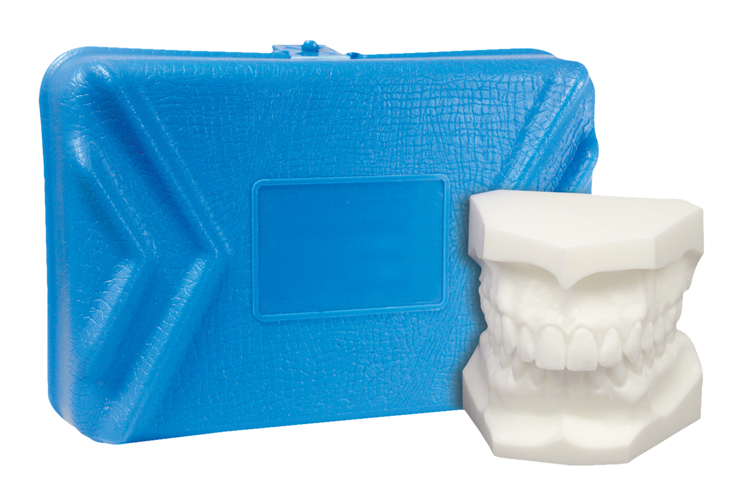 Study Model with Case Class I