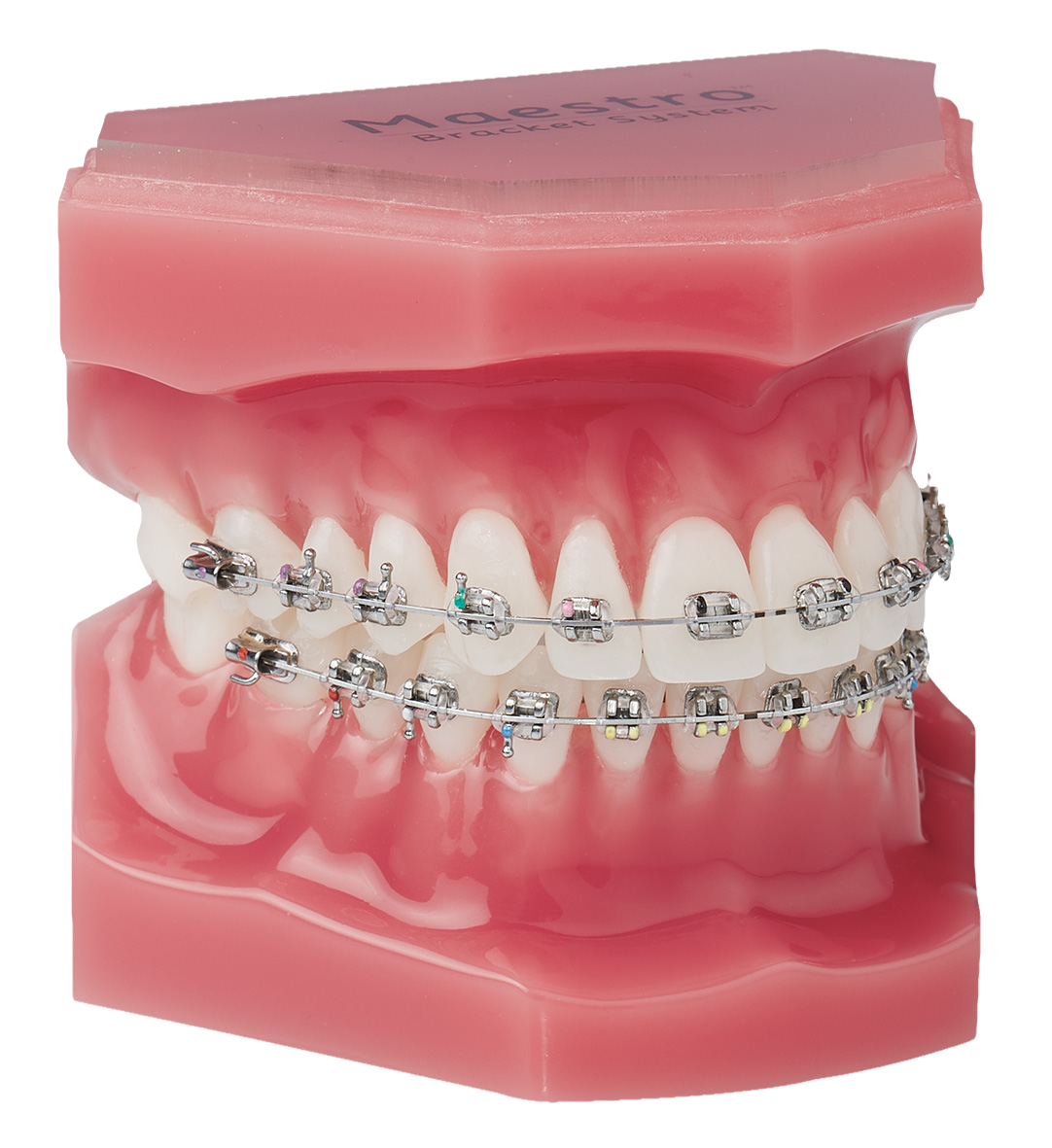 Demo Model Maestro 15X Brackets