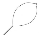 Singular Polypectomy Snare Oval Large 32mm Firm Loop Wire Sterile Disp 10/Ca