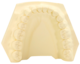 1172102_UK_Front_01_s_-SLX-Plaster-Type-4-Yellow-20kg.png