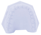 SLX Plaster Type 3 Blue 20kg