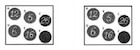 Binocular Slide For Color Perception Ea