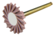 1189182_UK_Front_01_s_-ASAP-Indirect-Final-Polisher-IntraOral-Refill.png
