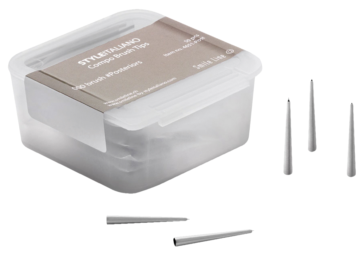 Compo brush #000 brush tips Posterior 50PK