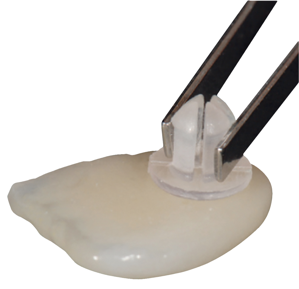 My Shade Guide Clips 100pk