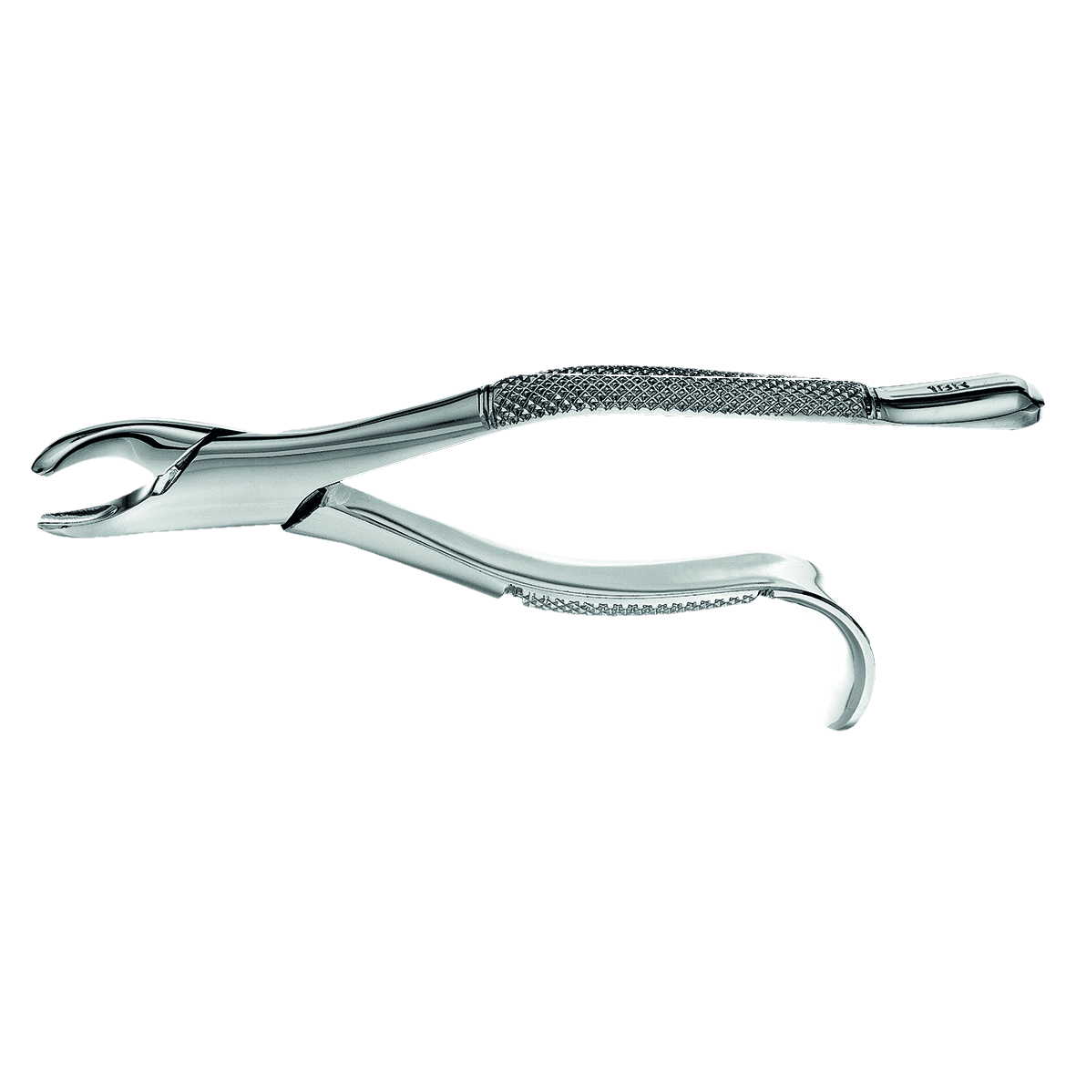 1201387_UK_Front_01_s_-Forceps-Harris-18R-SM-12-Molar-Point-Right.png