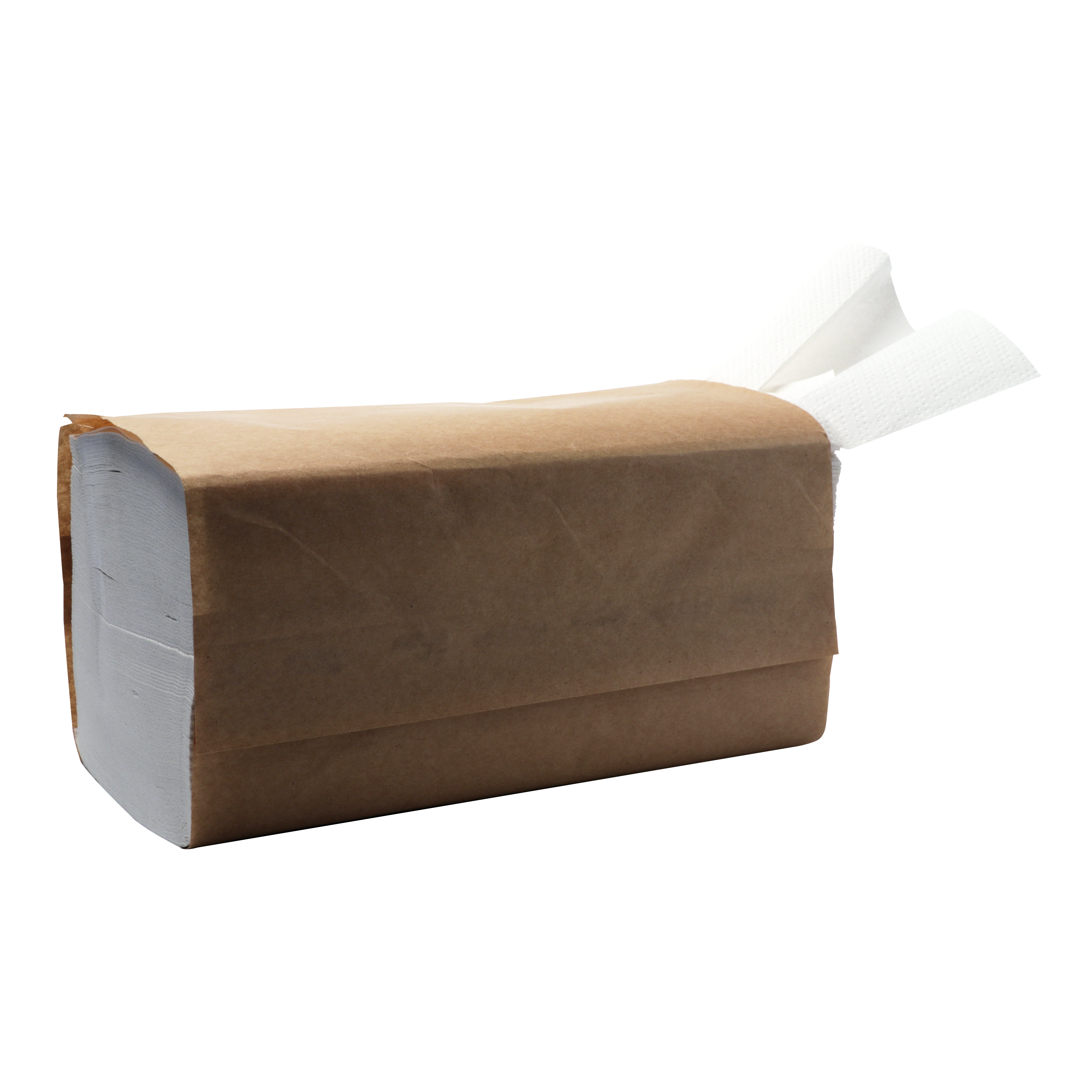 HS Z-Fold Towel 2-Ply Recycled White 21 x 21.5cm 5000box (20 x 250pk)