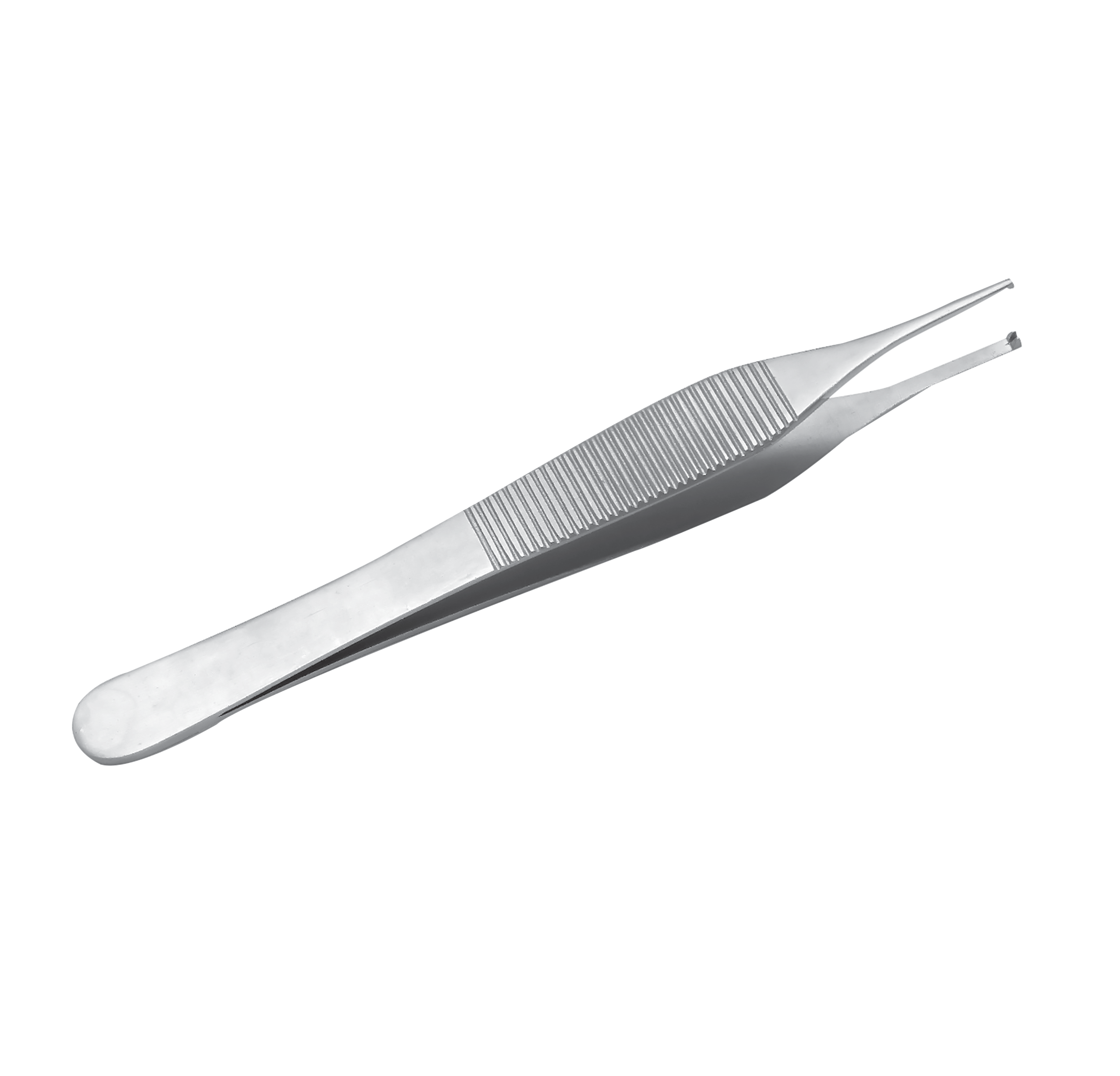 Adson Dissecting Forceps Toothed 12cm