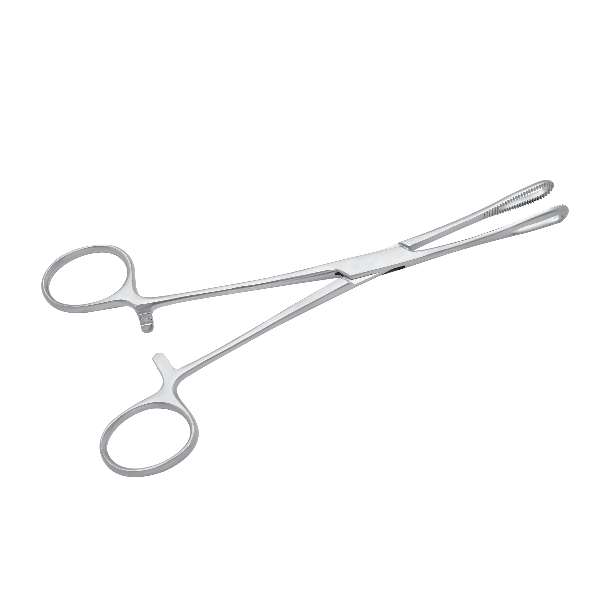 Rampley Sponge Holding Forceps 18cm