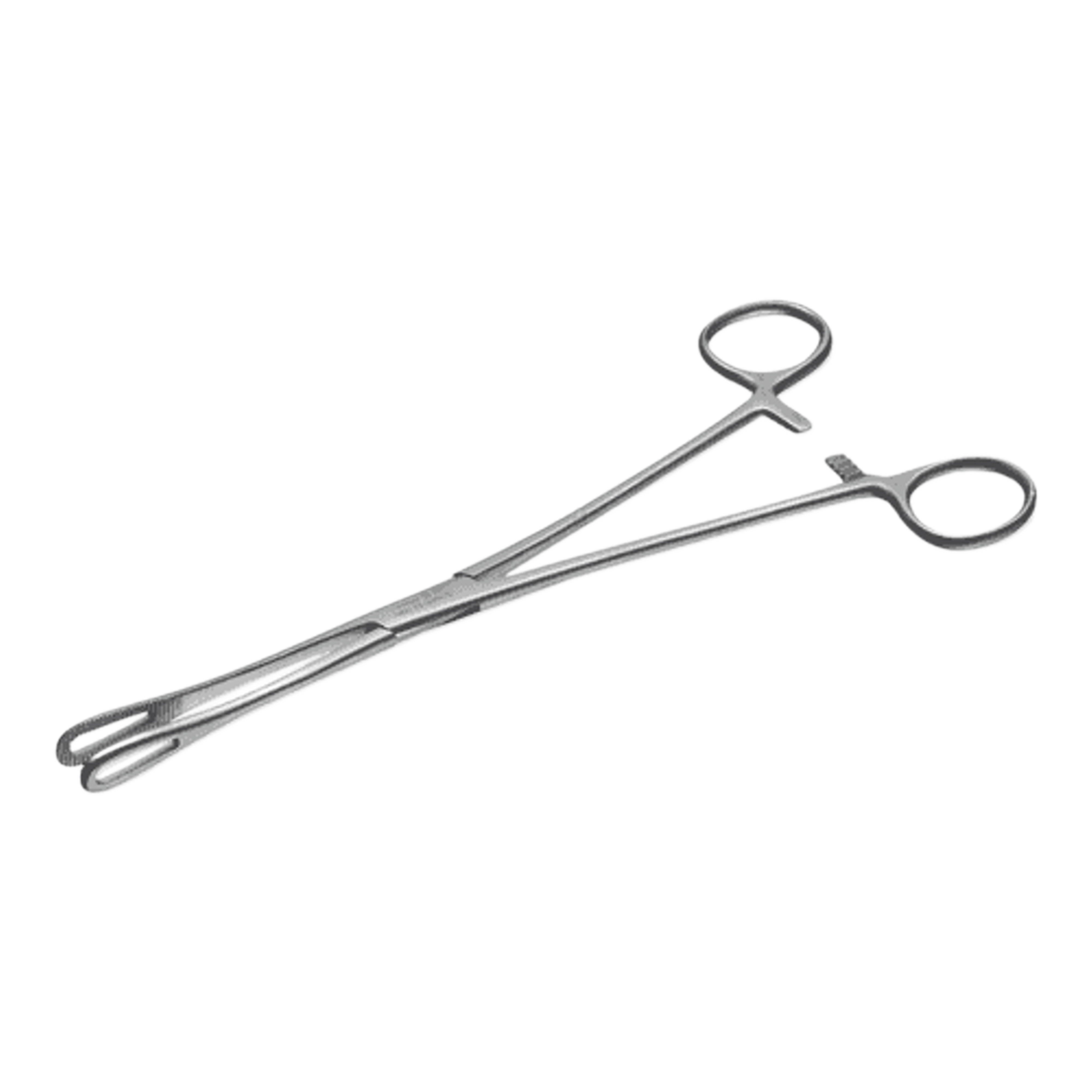 Rampley Sponge Holding Forceps 24cm
