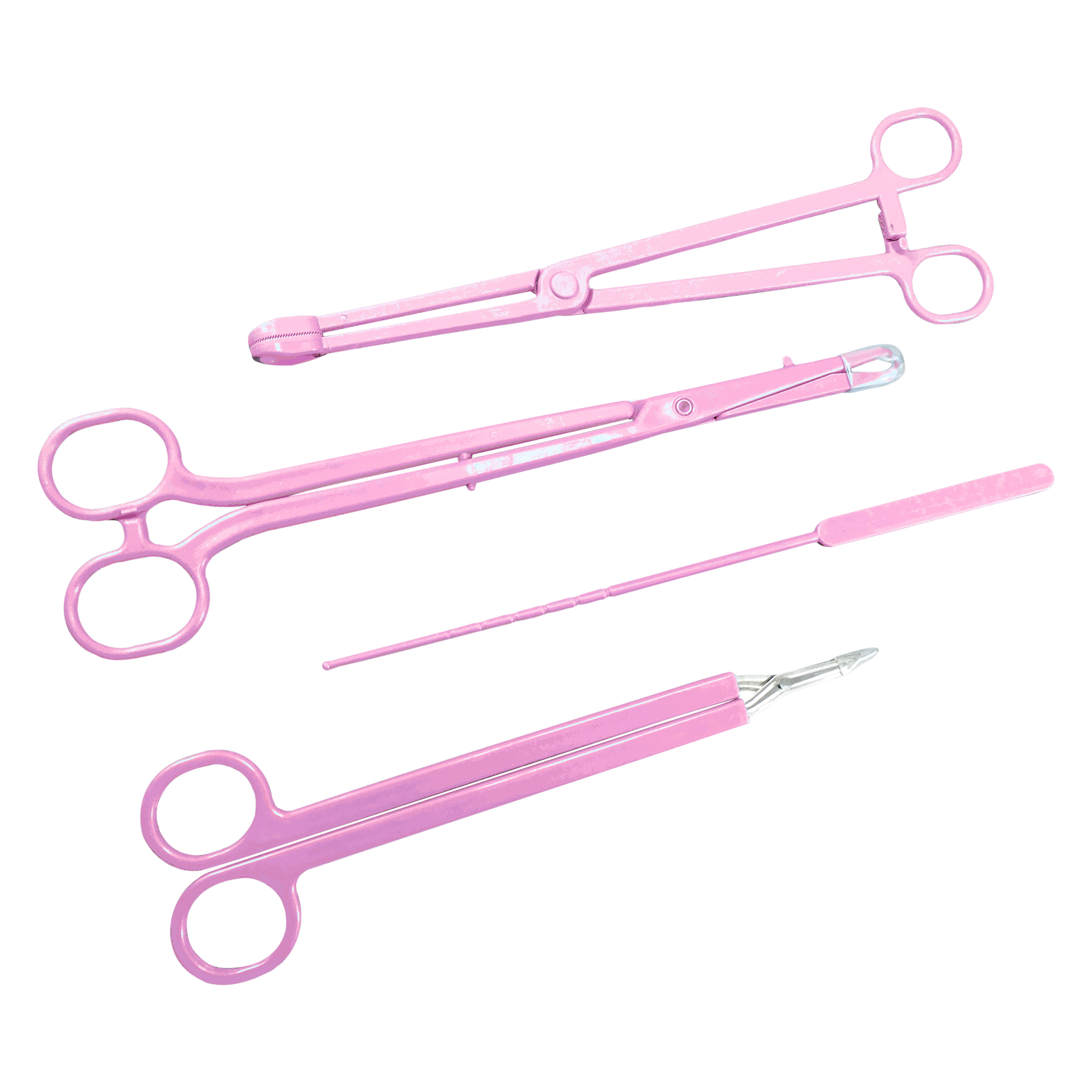 Scissors Long Handle 22cm