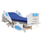 Bed Electric With Side Rail Controls Ea