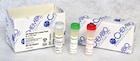 STAT-PAK HIV: Human Immunodeficiency Virus Level 0-2 Rapid Test Control Pack Ea