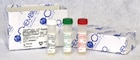 DPP HIV 1/2 Bi-Level Control 1/Kt