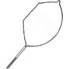 Singular Polypectomy Snare 230cm Crescent Medium Firm Loop Wire Strl Disp 10/Bx