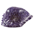 Orthodontic Glitter Orthodontic Resin Lavender 28Gm/Bt