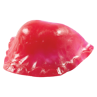 Electric Ortho-Jet Orthodontic Resin Pink 100Gm/Bt