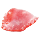Electric Ortho-Jet Orthodontic Resin Red 100Gm/Bt