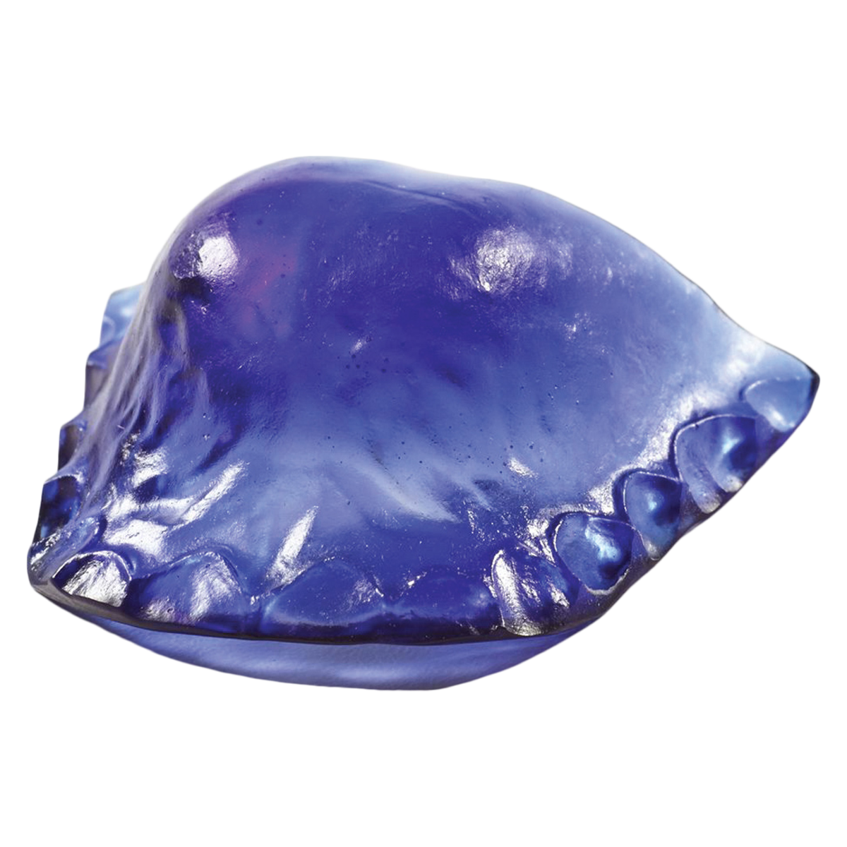 Contemporary Ortho-Jet Orthodontic Resin Self Cure Blue 4oz/Bt