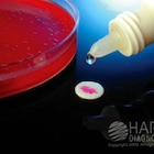 Group B Streptococcus Reagent Ea