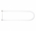 Bulb 12/Ca