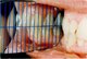 142604_NL_Front_02.jpg