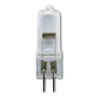 Reservelamp 12V-50W - 64440