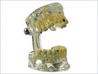 Demonstratiemodel transparant kind - 355643