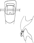 AlastiK Ligature with guard - Clear - 406-430, 10x 10 modules