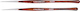 245317_NL_Front_01.jpg