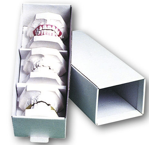 Gipsmodelopbergdozen - Verpakking, 100 stuks