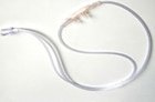 Cannula Oxygen Adult <6LPM 50/Ca