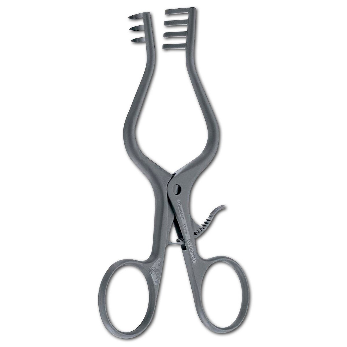 SUSI wondspreider Weitlaner - 13cm, per 20 st.