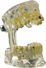 Demonstratiemodel transparant luxe - 355642