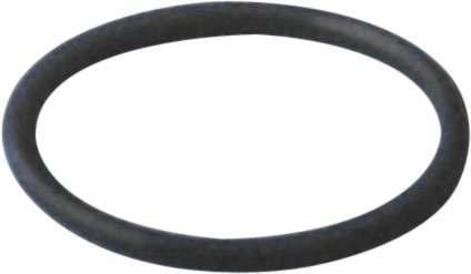 O-ring neusje motor - 1300967-010