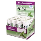 Xylitol Chewing Gums - displayverpakking - Spearmint, verpakking 12 stuks