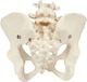 421742_NL_Front_01.jpg