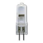 Reservelamp 12V-50W - 64610