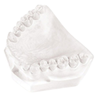 Lab Plaster Type II Regular 25Lb/Cr