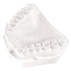 Lab Plaster Type II Fast 25Lb/Cr